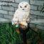 solar owl garden stake decorative
