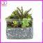 artificial succulent pick