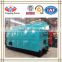 4 Ton/h 1.25 Mpa Coal Fired Steam Boiler for Sale