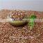 Roasted sweet raw buckwheat hulled buckwheat kernels