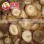 IQF Frozen Shiitake Mushroom whole / slices / 1/4 cuts /quarter