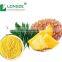 spray dried 100 % water - soluble Pineapple Fruit Powder