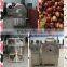 Mayjoy High Quality Peanut Roaster Machine For Oil
