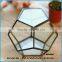 Polygonal geometric glass terrarium wholesale container