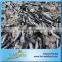 Bonito Fish In Stock For Market