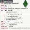 PU natural looking leaves foliage plants wholesale artificial leaves