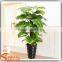 Factory wholesale uv artificial outdoor plants decoration plants