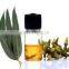 Eucalyptus Oil