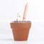 natural promotion wood flower fruit grass seed sprout pencil
