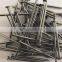 Hot dipped galvanized common nails with high quality