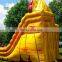 fire n ice dry wet inflatable water slide