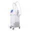 Top Sales Ems Weight Loss Fat Burn Body Slimming 2 Handles Machine On Promotion