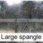 Galvanized Steel coil  spangle
