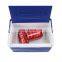 GiNT 5L Manufactory Eco Friendly Ice Chest Durable Cooler Box Portable Ice Chest for Christmas