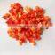 Sinocharm BRC A Approved 20*20MM IQF Red Pepper Diced Frozen Bell Peppers Cubes