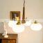Glass Pendant Light Simple Decor Glass Ball Hanging Lamp For Bedroom Living Room Nordic Solid Wood Chandelier