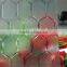 Clear Beehive Patterned Glass/ Toughened Glass /Insulated Glass