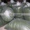 Hot Sale Ulva Lactuca For Food