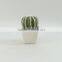 2014 best selling Potted indoor mini artificial cactus plants
