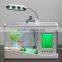 Desktop usb mini fish tank aquarium with running water