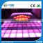 Ip65 RGB Color Changing Led Dance Floor Mat