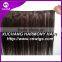 Unprocessed Brown WL Cambodian For Black Women Hair Weaving 10-32inch Straight Wave
