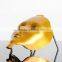 (AYJ-F17)led skin rejuvenation