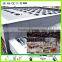 Fashion product in Europe of tubular skylight,Green Initiative sun tunnels skylight