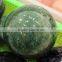 Factory Supply Natural green fluorite Quartz Crystal Ball