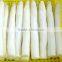 Supply frozen vegetables, IQF Frozen white Asparagus with good quality