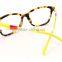 Beautiful Plastic Glasses Optical Frame