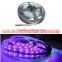 Waterproof Epistar 5050 RGB flexible LED Light Strip with remote controller