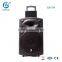 15 inch super bass portable speaker active trolley guitar speaker bluetooth dvd cd with battery and microphone