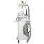 Beauty Salon Equipment Low Price Increasing Muscle Tone Cryolipolysis Slimming Machine Price Cryolipolysis Machine 3.5