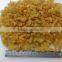 Dried golden raisin for the Middle East market