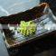 100% wasabi powder for sushi