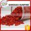 More and more popular goji berries dried with high quality