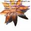 Best Quality Vietnam Star Anise ( kind of shape) - website : visimex03 - mail : janebui@visimex.com