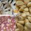 Comercial Garlic Peeler, Garlic Clove/Shallot Skin Peeling Machine with CE Certificate