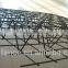 2x2/4x4/6x6 hot dipped galvanized /pvc coated welded wire mesh fence panel in 12 gauge(factory)