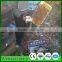 The Ways of No Resistance and No Residue to Solve Bee Mites Anti-Mite Frames with Top Quality