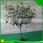 High quality lmitation artificial ficus tree