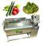 Universal Vegetable Washer TJ-70