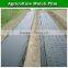 Silver-black plastic LDPE perforated agriculture mulch film