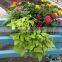 Vertical Garden Hydroponic Hanging Planter Fence /railing Flower Planter