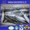 frozen seafood fish pacific mackerel