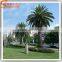 outdoor decorative palm tree artificial tops price