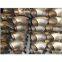 Nickel Alloy Pipe Fittings