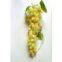Artificial Grape,Plastic Grapes(FHM115B4)