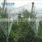 Agriculture Orchards hail net / gardens fruit tree plastic cover ant -hail net / system for anti hail protection netting